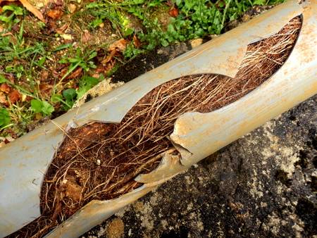 Cómo quitar raices de una tuberia