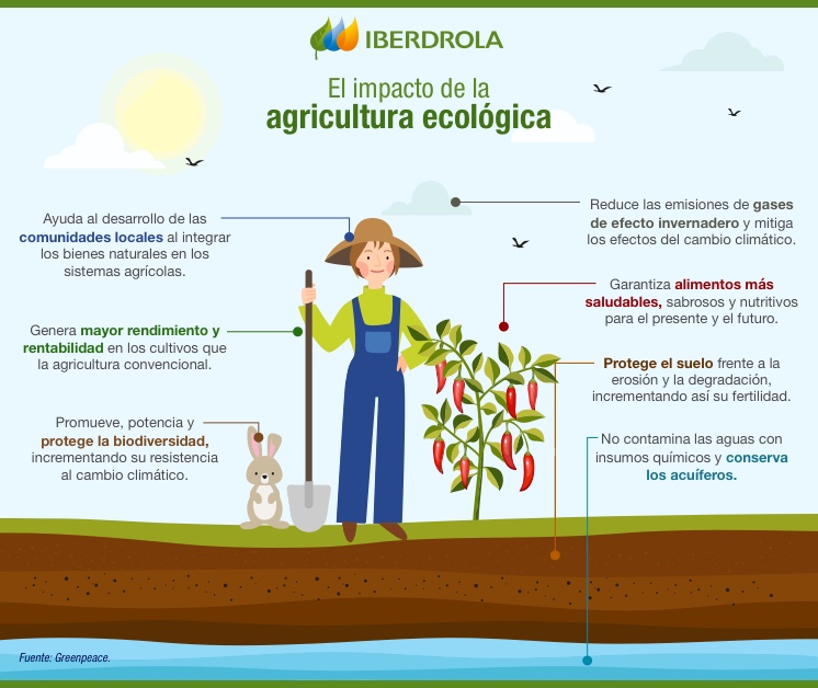 En que consiste la agricultura ecologica