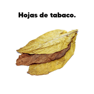 Venta de hojas de tabaco en Cáceres